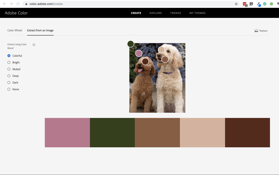 Color Palette 