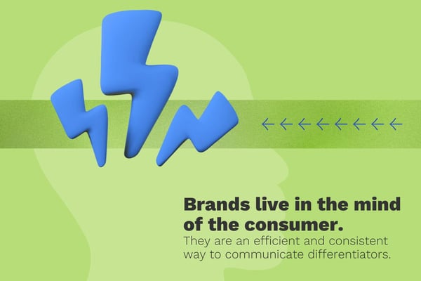 XYPN_MktgPillarPg_Brands-Graphic