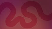 XYPN Members Making Headlines: December 2017