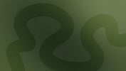 XYPN Members Making Headlines: October 2020